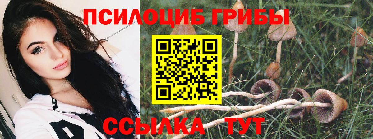 Армавир  Псилоцибиновые грибы GOLDEN TEACHER  Вход с VPN  Галлюциногенные грибы мухоморы 