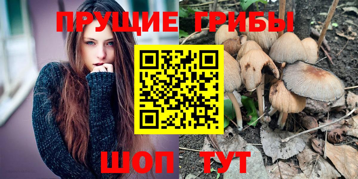 Псилоцибиновые грибы Psilocybine cubensis Армавир